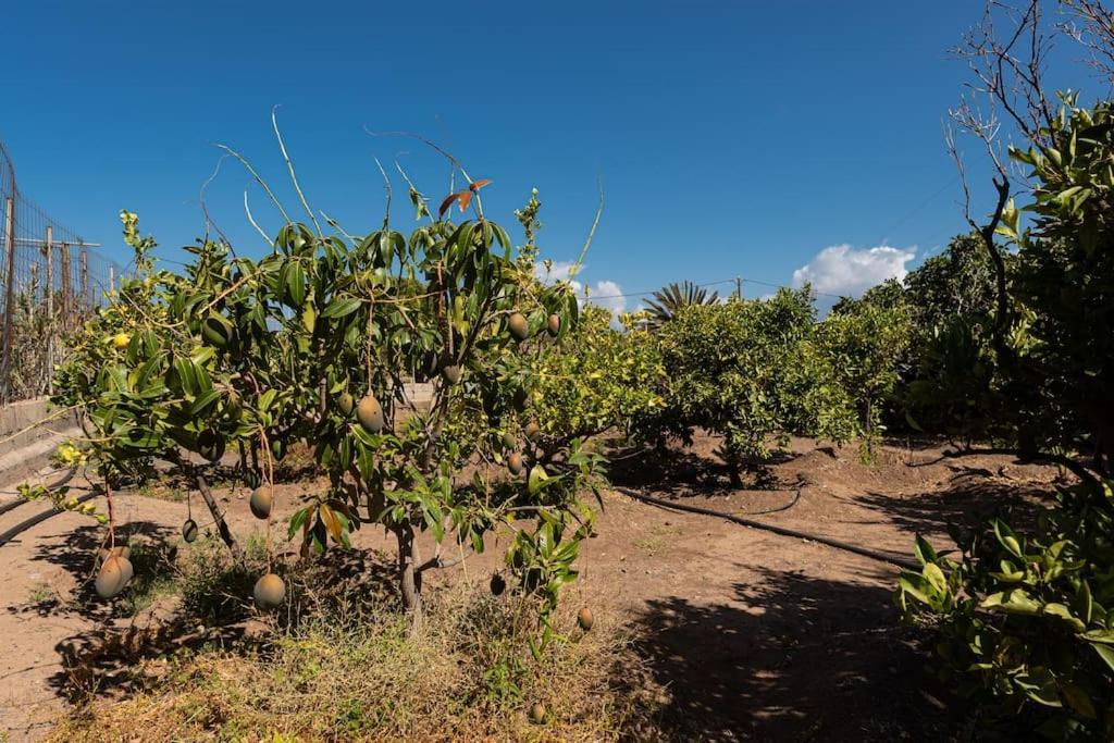 Vivienda Vacacional Ca' Pepita Y Jose El Albercon Екстер'єр фото