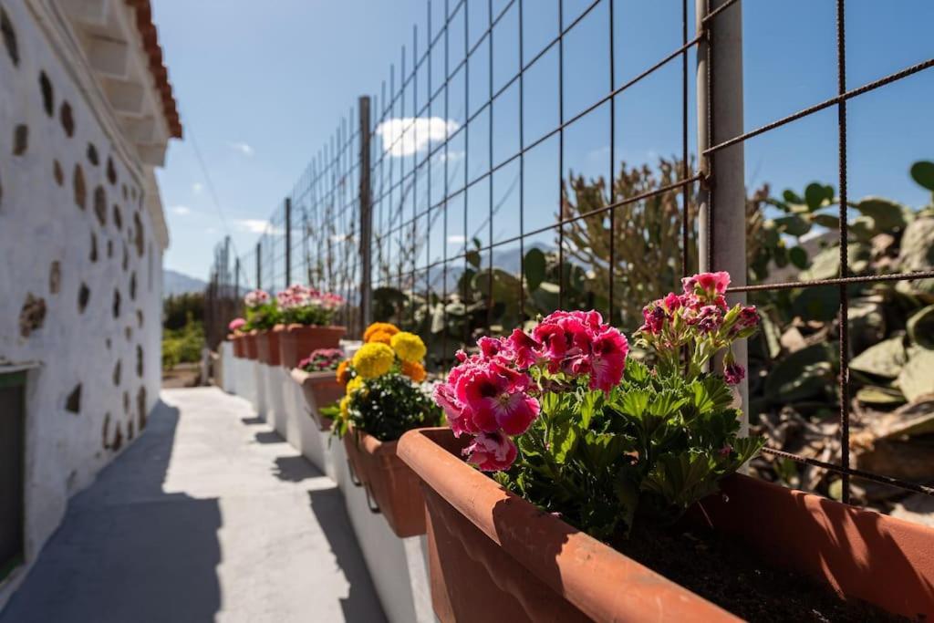 Vivienda Vacacional Ca' Pepita Y Jose El Albercon Екстер'єр фото