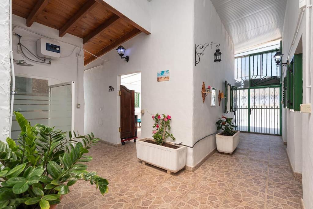 Vivienda Vacacional Ca' Pepita Y Jose El Albercon Екстер'єр фото