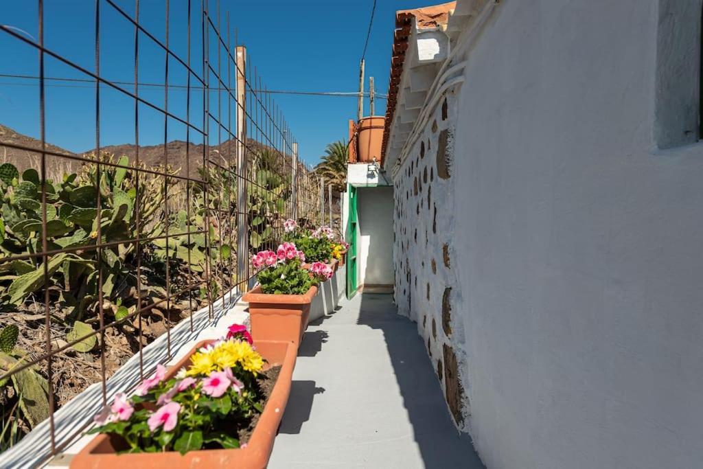 Vivienda Vacacional Ca' Pepita Y Jose El Albercon Екстер'єр фото