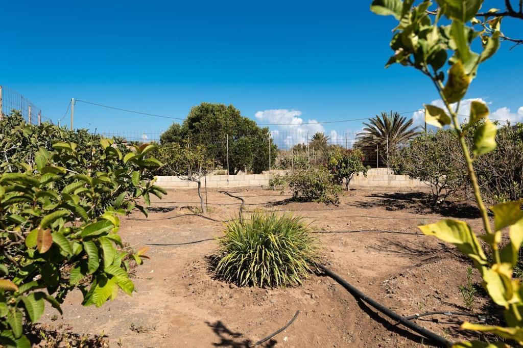 Vivienda Vacacional Ca' Pepita Y Jose El Albercon Екстер'єр фото